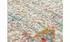 OCI Die Teppichmarke Teppich LOTUS (240x340 cm) multicolor