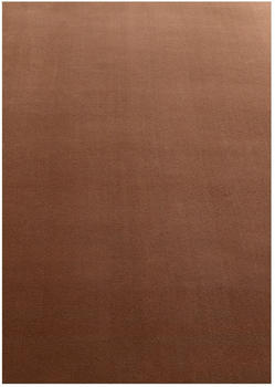 Ayyildiz SKY braun 240x340 cm