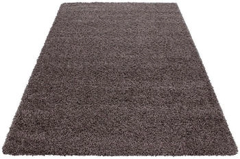 Ayyildiz LIFE taupe 80x250 cm