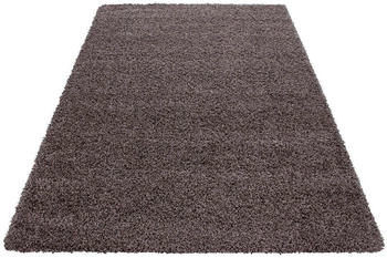 Ayyildiz LIFE taupe 300x400 cm