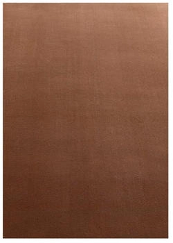 Ayyildiz SKY braun 200x290 cm
