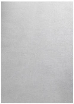 Ayyildiz SKY silber 160x230 cm