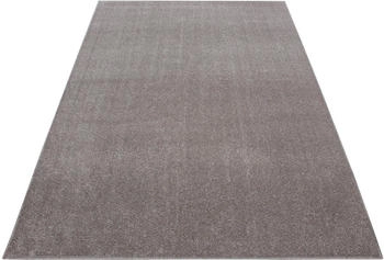 Ayyildiz ATA beige 80x150 cm