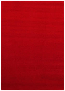 Ayyildiz SKY rot 200x290 cm