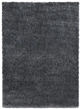 Ayyildiz BRILLIANT grau Ø120 cm