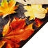 vidaXL Küchenteppich Herbst 45x150cm (4005626)