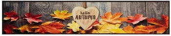 vidaXL Küchenteppich Herbst 60x300cm (4005628)