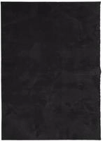 vidaXL Teppich HUARTE Kurzflor Weich und Waschbar Schwarz 120x170 cm