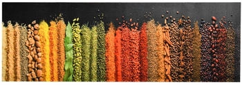 vidaXL Küchenteppich Gewürze 60x300cm (315954)