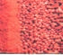 vidaXL Küchenteppich Gewürze 60x300cm (315954)
