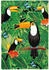 Pergamon. Designer Teppich Faro Tropical Tukan Bunt 120x170cm