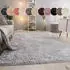 Paco Home Hochflor-Teppich Silky 591 (160x220cm) silber (silberfarben)
