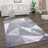 Paco Home Teppich Bari 874 (160x220cm) grau