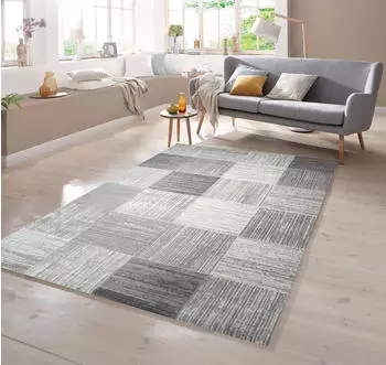 TeppichHome24 Designer Teppich mit Karomuster (160x230cm) Beige Grau