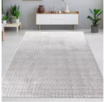 Carpetia Design-Teppich mit minimalistischem Bogenmuster in stilvollem Grau 140x200 cm
