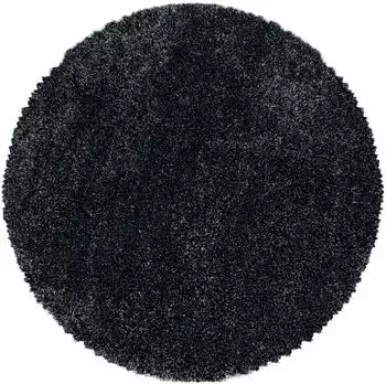 CarpetSale24 Soft Shaggy Hochflor Teppich, rund, anthrazit, waschbar (160cm)