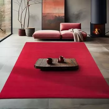 Teppium Kurzflor Teppich, waschbar, rutschfest, rot, 200x290cm