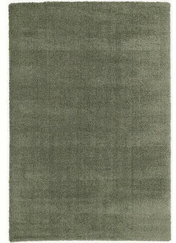OCI Die Teppichmarke Hochflor-Soft Dream 240x340 cm grün