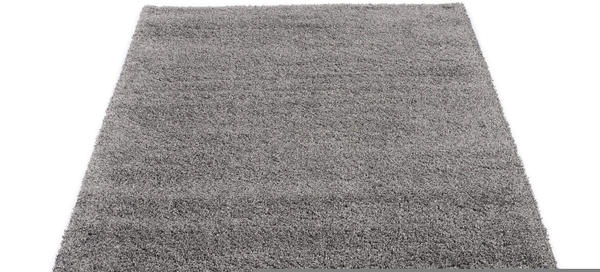 OCI Die Teppichmarke Lobby Shaggy 290 x 240 x 5,2 cm grau (91031710)