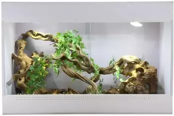 Lucky Reptile IsoTarrium Basic 80 x 50 x 50 cm