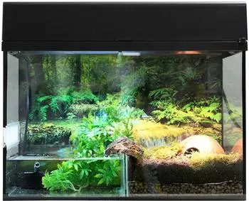 Lucky Reptile Starter Kit Terrarium Bombina/Pacman 80x40x52cm, schwarz (42133)