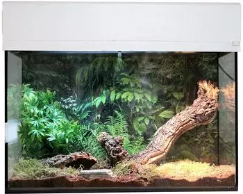 Lucky Reptile Starter Kit Spinnen/Skorpione Terrarium-Komplettset, weiß (SK50TS-W)