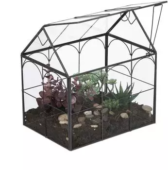 Relaxdays Pflanzenterrarium Hausform, Glas, schwarz (10050356_46)