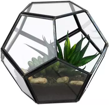 Relaxdays Pflanzenterrarium geometrisch, Glas, Dodekaeder (10022280)