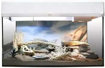 Lucky Reptile Terrarium Starter Kit Wüstengecko 50cm, weiß (SK50DG-W)