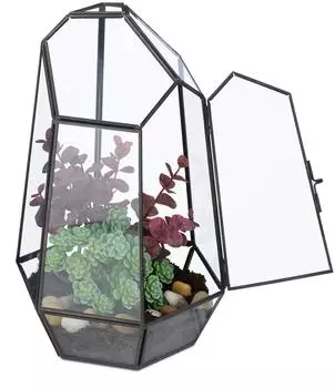 Relaxdays Florarium Glaskasten Mini Urwald, Hydrokultur
