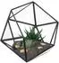 Relaxdays Pflanzenterrarium geometrisch, Glas & Zinn, offen, schwarz (10050354)
