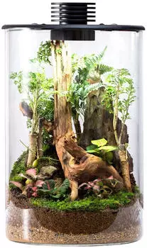 Bioloark Bio Bottle ZD200 Mini-Terrarium mit Beleuchtung (5004)
