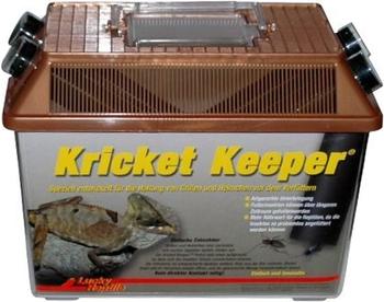 Lucky Reptile Kricket Keeper groß