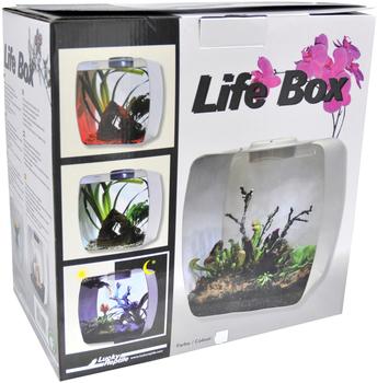 Lucky Reptile Life Box 35