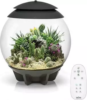 biOrb AIR 30 grau
