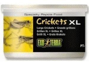 Exo Terra Grillen XL Exo Terra Grillen XL