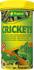 Tropical Crickets