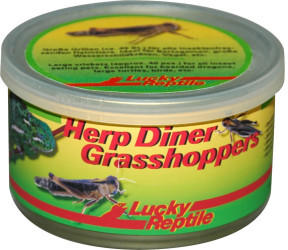 Lucky Reptile Herp Diner Grasshoppers mittel 35
