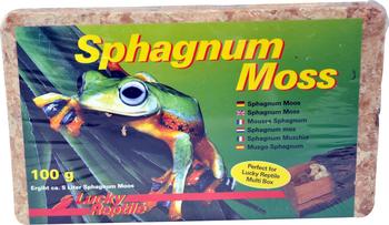 Lucky Reptile Sphagnum Moss Ziegel gepresst