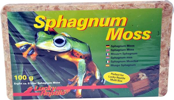 Lucky Reptile Sphagnum Moss Ziegel gepresst