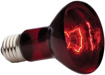 Exo Terra Heat Glo Infrared Heat Lamp - R20 50W