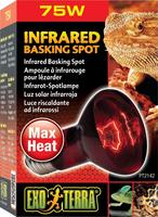 Lampe Exo Terra Basking Spot Infrarot 75 W
