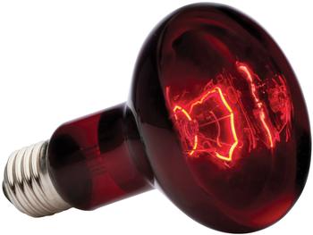 Exo Terra Heat Glo Infrared Heat Lamp - R25 100W