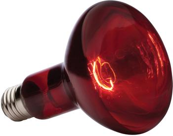 Exo Terra Heat Glo Infrared Heat Lamp - R30 150W