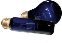 Exo Terra Mondlichtlampe ng a19 50W