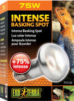 Sun Glo Intense Basking Spot 75 w. w/UVA