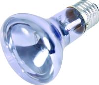 TRIXIE 76007, TRIXIE Neodymium W&auml;rme-Spot, &Oslash; 63 x 100 mm