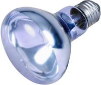 Trixie 76008, Trixie Neodymium W&auml;rme-Spotlampe, Ma&szlig;e: &oslash; 80 x 100 mm
