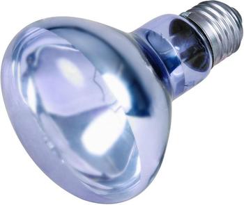 Trixie Reptiland Neodymium-Wärme-Spot-Lampe 100W
