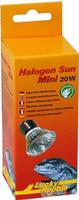 Halogen Sun Mini Doppelpackung - 20w - Lucky Reptile